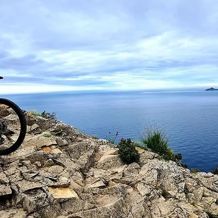 Au Bas Des Cretes La Ciotat